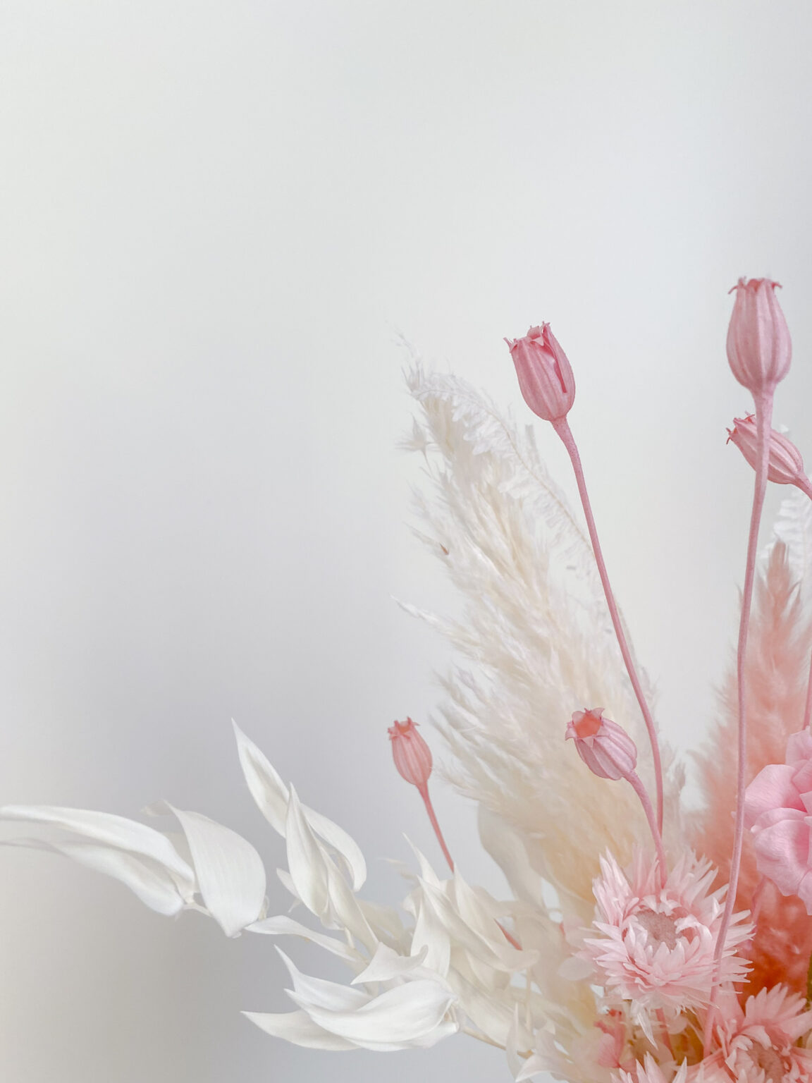 'PINKY BLUSH' S size - Image 5