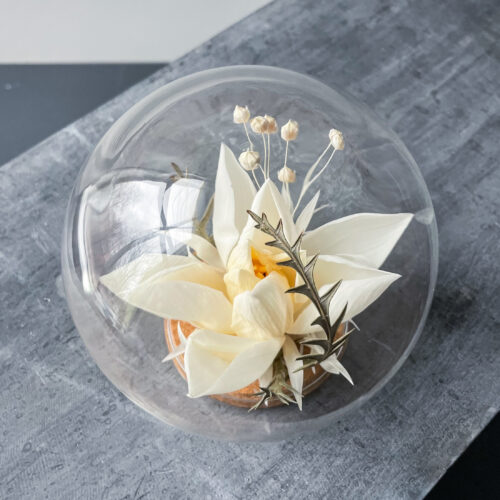 Uinuvad lilled: Klaaskuul 'LOTOS'