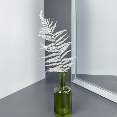 Kuivatatud taim 'FERN BLEACHED' 35cm