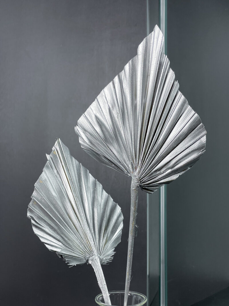 Kuivatatud palmileht 'SPEAR SILVER' 40cm - Image 2