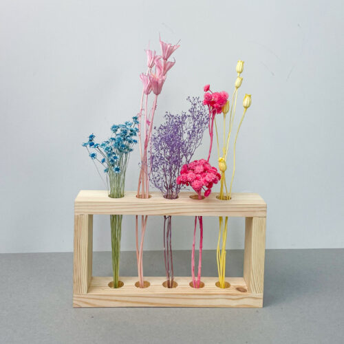 Katseklaasivaas 'VIAL RAINBOW' kauapüsivate taimedega