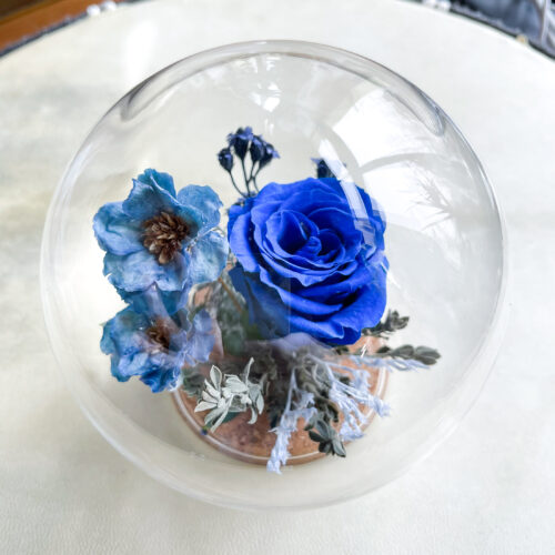 Uinuvad roosid: Klaaskuul 'BLUE LAGOON'