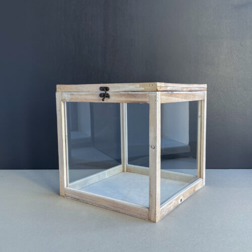 Kingilaegas 'ADRIANA'