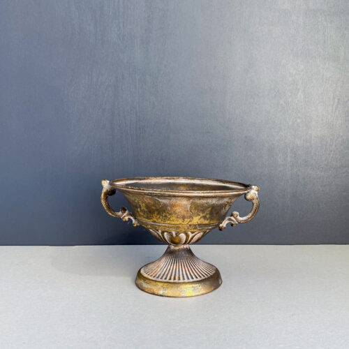 Metallanum 'CARLITA'