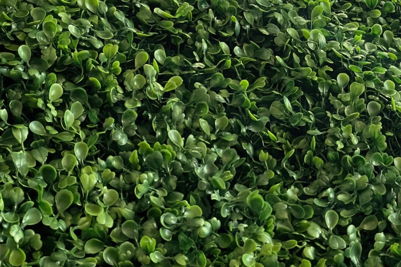 Lillesein 'GREEN 3 m x 4 m' - Image 2