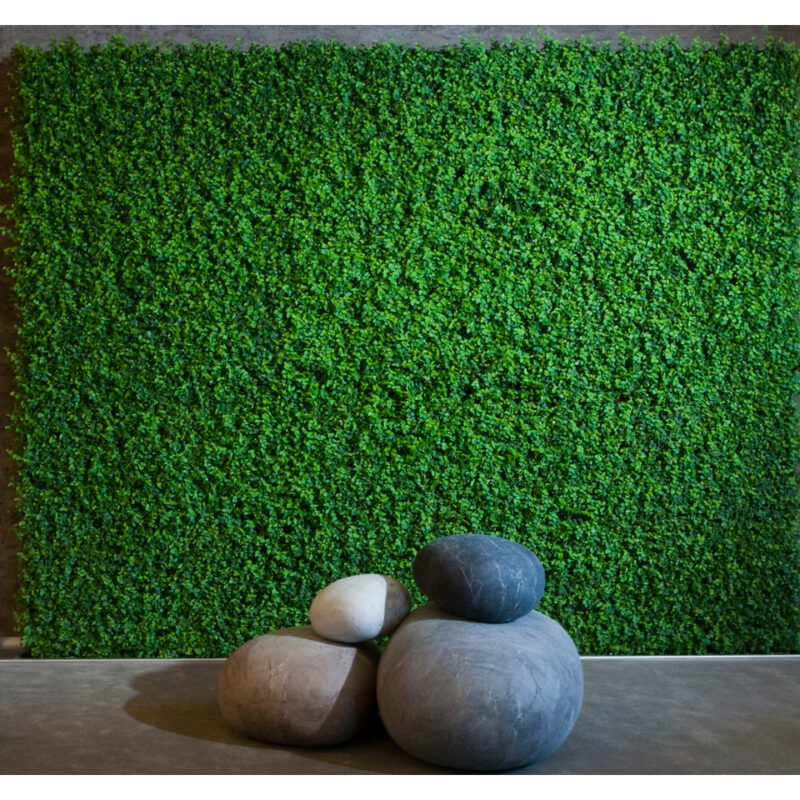 Lillesein 'GREEN 3 m x 4 m'
